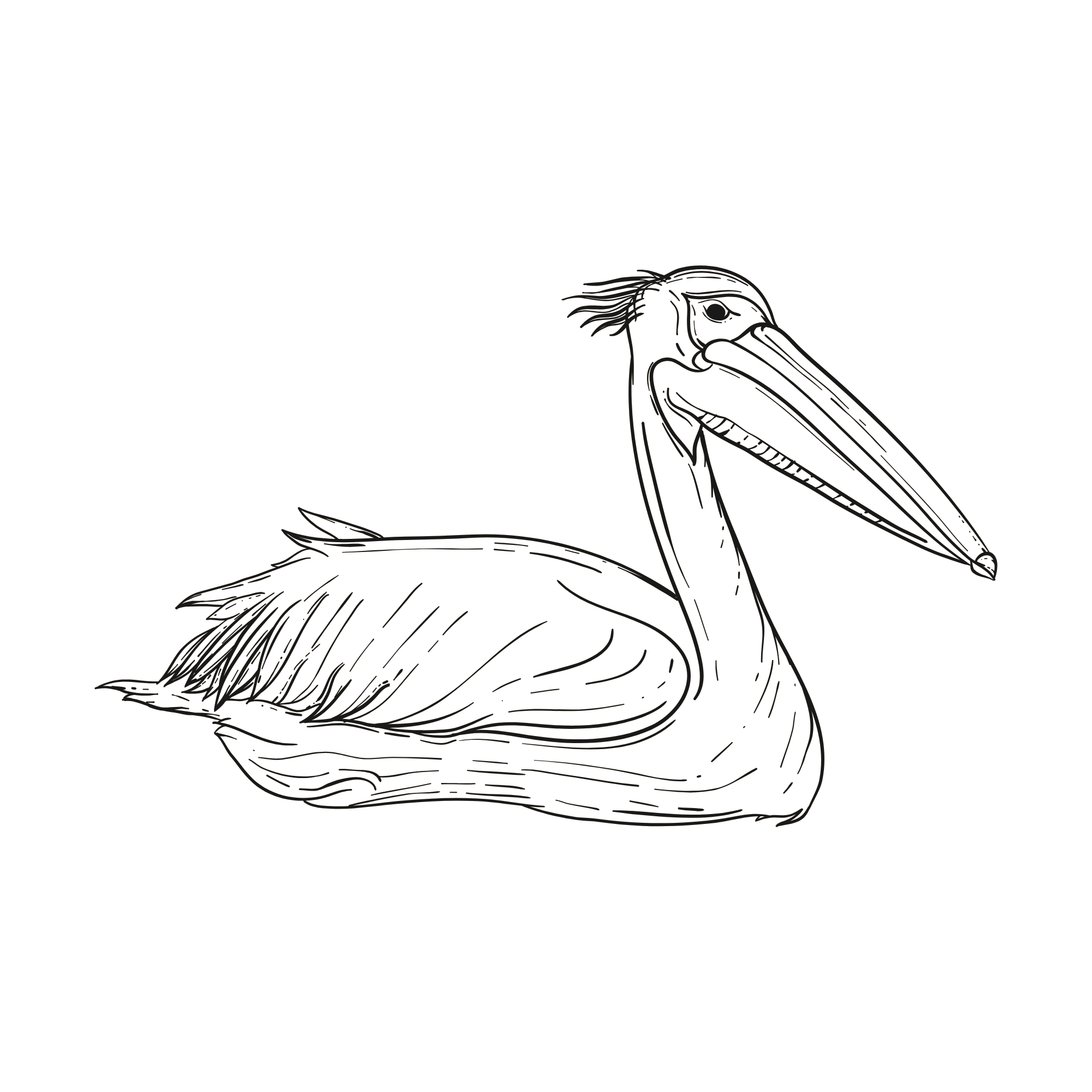 Pelican I.T. Solutions pelican mark